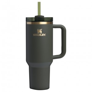 Stanley The Fall Refresh Quencher H2.O FlowState™ Tumbler I 40 OZ Cypress | 613958IPU