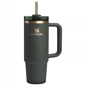 Stanley The Fall Refresh Quencher H2.O FlowState™ Tumbler I 30 OZ Cypress | 207183YQO