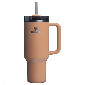 Stanley The Fall Refresh Quencher H2.O FlowState™ Tumbler I 40 OZ Camel | 196203HTE