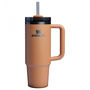 Stanley The Fall Refresh Quencher H2.O FlowState™ Tumbler I 30 OZ Camel | 429136RST