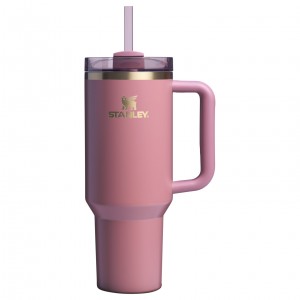 Stanley The Fall Refresh Quencher H2.O FlowState™ Tumbler I 40 OZ - Stanley Cr Rose | 972138SIK