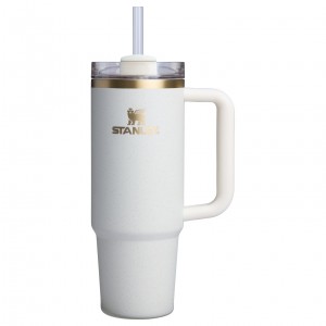 Stanley The Fall Refresh Quencher H2.O FlowState™ Tumbler I 30 OZ Blanche | 412658PDH