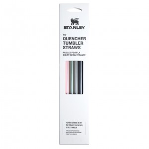Stanley The Fall Refresh Replacement Straw 4 Pack | 30 oz Quencher Tumbler Fall Multi Pack | 530218EPQ