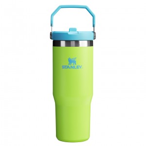 Stanley The Heat Wave IceFlow™ Flip Straw Tumbler | 30 OZ Bright Lime | 427503QDY