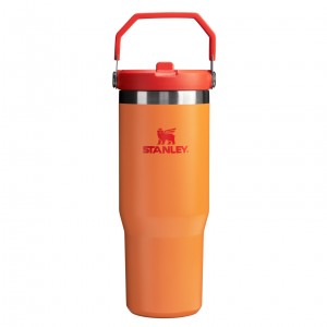 Stanley The Heat Wave IceFlow™ Flip Straw Tumbler | 30 OZ Goldenrod | 531048DYT