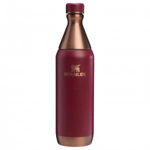 Stanley The Holiday All Day Slim Bottle | 20 OZ Gilded Pomegranate | 062458DSL