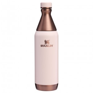 Stanley The Holiday All Day Slim Bottle | 20 OZ Gilded Sugar | 193527WTP