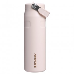 Stanley The Holiday IceFlow Water Bottle with Flip Straw Lid | 24 OZ Gilded Sugar | 546089YPO