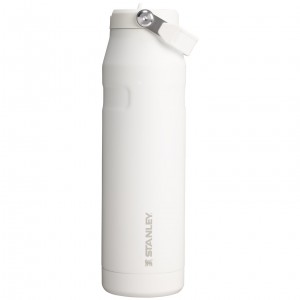 Stanley The IceFlow™ Bottle with Flip Straw Lid | 36 oz Frost | 293174MPB