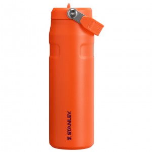 Stanley The IceFlow™ Bottle with Flip Straw Lid | 24 OZ Tigerlily Plum | 062514WHK