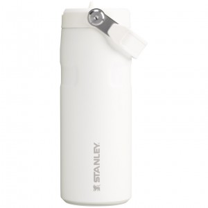 Stanley The IceFlow™ Bottle with Flip Straw Lid | 16 oz Frost | 190753VBT