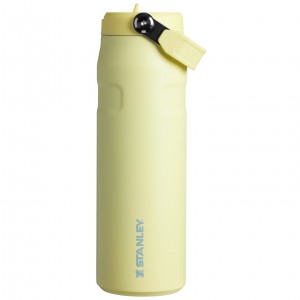 Stanley The IceFlow™ Bottle with Flip Straw Lid | 24 OZ Pomelo | 258610UXF