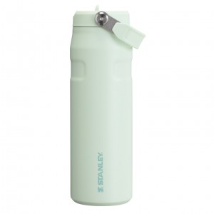 Stanley The IceFlow™ Bottle with Flip Straw Lid | 24 OZ Mist | 670428GCE
