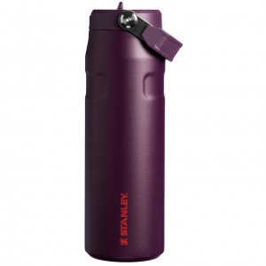 Stanley The IceFlow™ Bottle with Flip Straw Lid | 24 OZ Plum | 718523SZQ