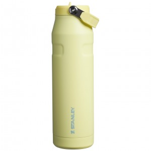Stanley The IceFlow™ Bottle with Flip Straw Lid | 36 oz Pomelo | 834651LJT
