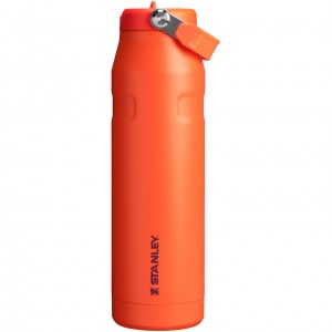 Stanley The IceFlow™ Bottle with Flip Straw Lid | 36 oz Tigerlily Plum | 257890KPB