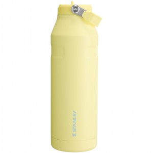 Stanley The IceFlow™ Bottle with Flip Straw Lid | 50 oz Pomelo | 641035KBG
