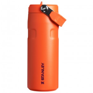 Stanley The IceFlow™ Bottle with Flip Straw Lid | 16 oz Tigerlily Plum | 048795PHZ