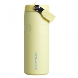Stanley The IceFlow™ Bottle with Flip Straw Lid | 16 oz Pomelo | 427958DTH