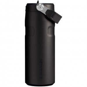 Stanley The IceFlow™ Bottle with Flip Straw Lid | 16 oz Noir | 178254ENQ
