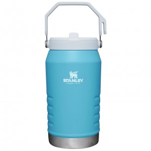 Stanley The IceFlow Flip Straw Jug | 64 OZ | Insulated Water Jug Pool | 047982JUM