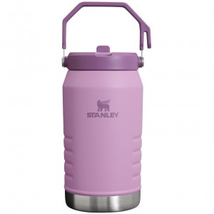 Stanley The IceFlow Flip Straw Jug | 64 OZ | Insulated Water Jug Lilac | 638712VKO