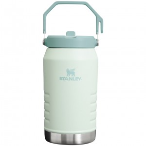 Stanley The IceFlow Flip Straw Jug | 64 OZ | Insulated Water Jug Mist | 825619YOD
