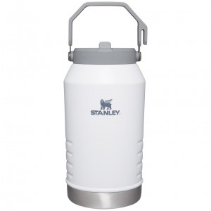 Stanley The IceFlow Flip Straw Jug | 96 OZ | Insulated Water Jug Polar | 710459DPS