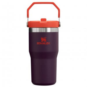 Stanley The IceFlow Flip Straw Tumbler | 20 OZ | Insulated D'eau Bottle Plum | 582497VEX