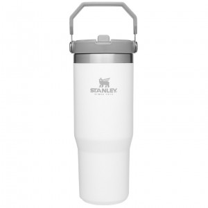 Stanley The IceFlow Flip Straw Tumbler | 30 OZ | Insulated Water Polar | 907416QZM