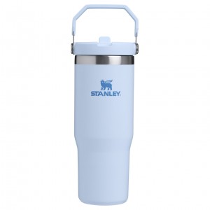 Stanley The IceFlow Flip Straw Tumbler | 30 OZ | Insulated Water Glacier | 763108LMI