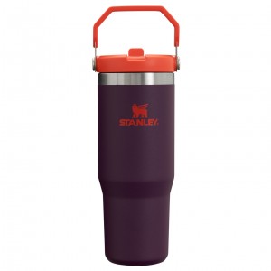 Stanley The IceFlow Flip Straw Tumbler | 30 OZ | Insulated Water Plum | 239750WZA