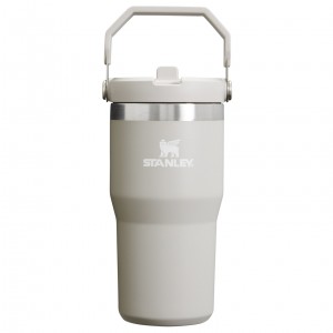 Stanley The IceFlow Flip Straw Tumbler | 20 OZ | Insulated D'eau Bottle Ash | 689547PKW