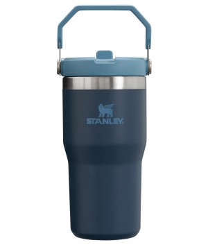 Stanley The IceFlow Flip Straw Tumbler | 20 OZ | Insulated Water Tumbler | Sta Bleu Marine | 643078YED