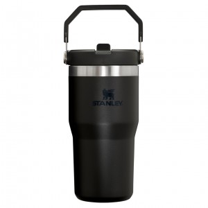 Stanley The IceFlow Flip Straw Tumbler | 20 OZ | Insulated D'eau Bottle Noir | 230467FJP