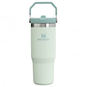 Stanley The IceFlow Flip Straw Tumbler | 30 OZ | Insulated Water Mist | 712834XCU