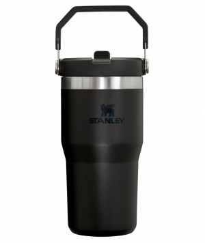 Stanley The IceFlow Flip Straw Tumbler | 20 OZ | Insulated Water Tumbler | Sta Noir | 709352TOS
