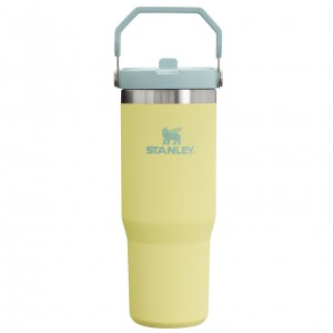 Stanley The IceFlow Flip Straw Tumbler | 30 OZ | Insulated Water Pomelo | 526384CZD