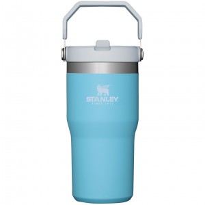 Stanley The IceFlow Flip Straw Tumbler | 20 OZ | Insulated Water Tumbler | Sta Pool | 590742OWT