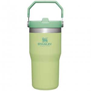 Stanley The IceFlow Flip Straw Tumbler | 20 OZ | Insulated D'eau Bottle Citron | 284107ASJ