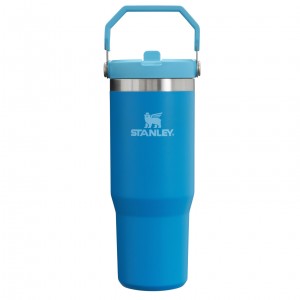 Stanley The IceFlow Flip Straw Tumbler | 30 OZ | Insulated Water Azur | 308725QWS