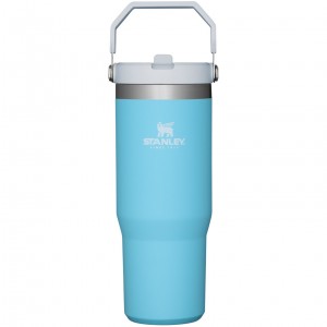 Stanley The IceFlow Flip Straw Tumbler | 30 OZ | Insulated Water Pool | 952830PHL