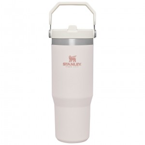 Stanley The IceFlow Flip Straw Tumbler | 30 OZ | Insulated Water Rose | 326594DLN