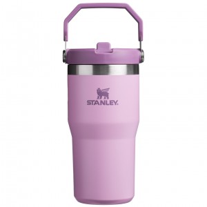 Stanley The IceFlow Flip Straw Tumbler | 20 OZ | Insulated Water Tumbler | Sta Lilac | 759036RDJ