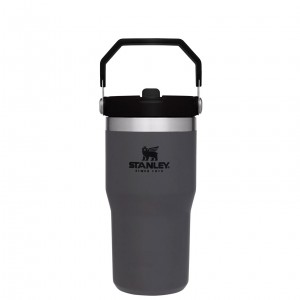 Stanley The IceFlow Flip Straw Tumbler | 20 OZ | Insulated Water Tumbler | Sta Charcoal | 789415LTS