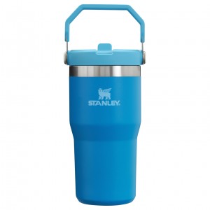 Stanley The IceFlow Flip Straw Tumbler | 20 OZ | Insulated D'eau Bottle Azur | 765193OGR