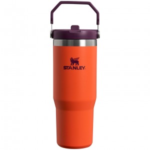 Stanley The IceFlow Flip Straw Tumbler | 30 OZ | Insulated Water Tigerlily Plum | 501936GHA