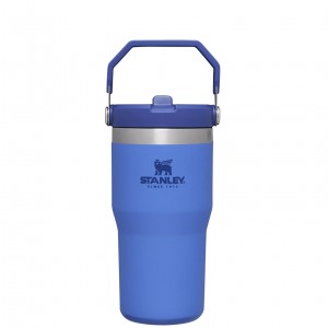 Stanley The IceFlow Flip Straw Tumbler | 20 OZ | Insulated Water Tumbler | Sta Iris | 935612UPV