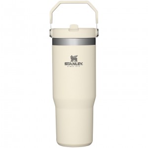 Stanley The IceFlow Flip Straw Tumbler | 30 OZ | Insulated Water Blanche | 709851SPV