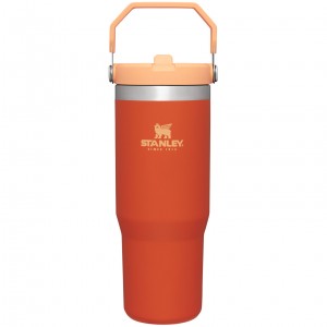 Stanley The IceFlow Flip Straw Tumbler | 30 OZ | Insulated Water Tigerlily | 374209AHN